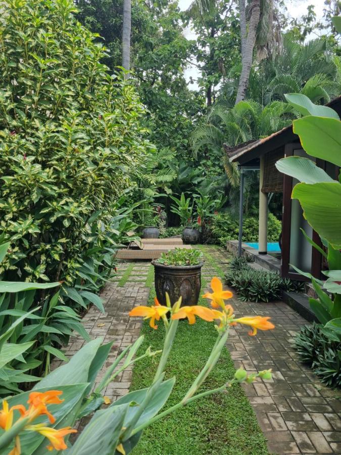 Jati - Private Poolside Villa Lovina Beach
